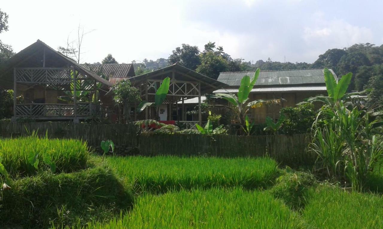 De Salak Homestay Bogor Exterior photo