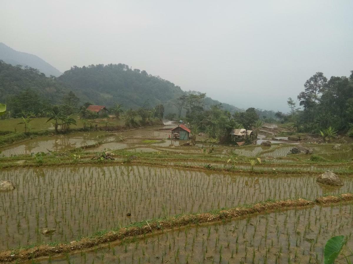 De Salak Homestay Bogor Exterior photo